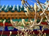 【城市水療設計】北京南宮溫泉養(yǎng)生園設計